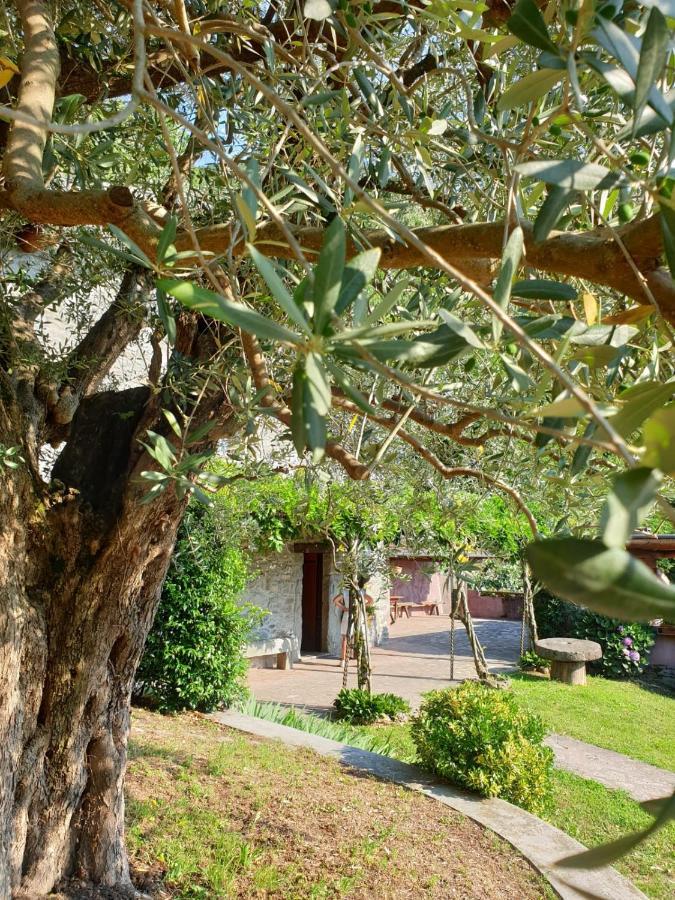 Villa D'Epoca Le Capele Gratacasolo Dış mekan fotoğraf