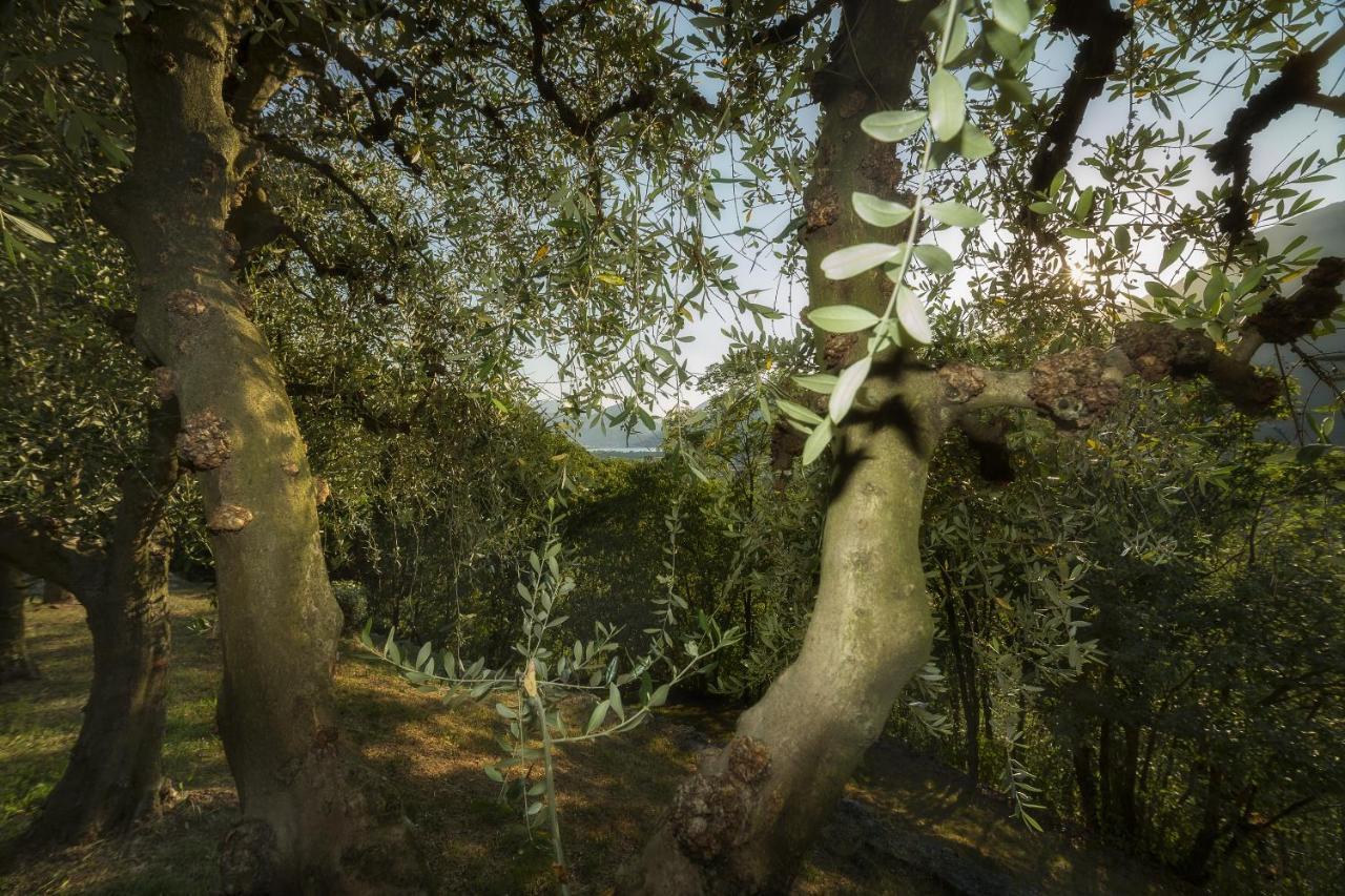 Villa D'Epoca Le Capele Gratacasolo Dış mekan fotoğraf